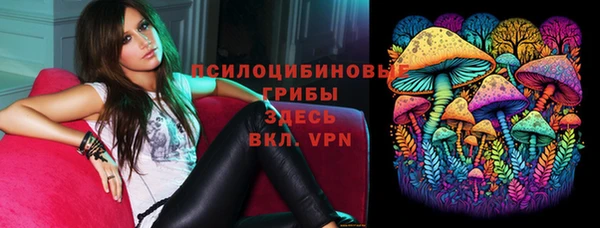 шишки Алексин