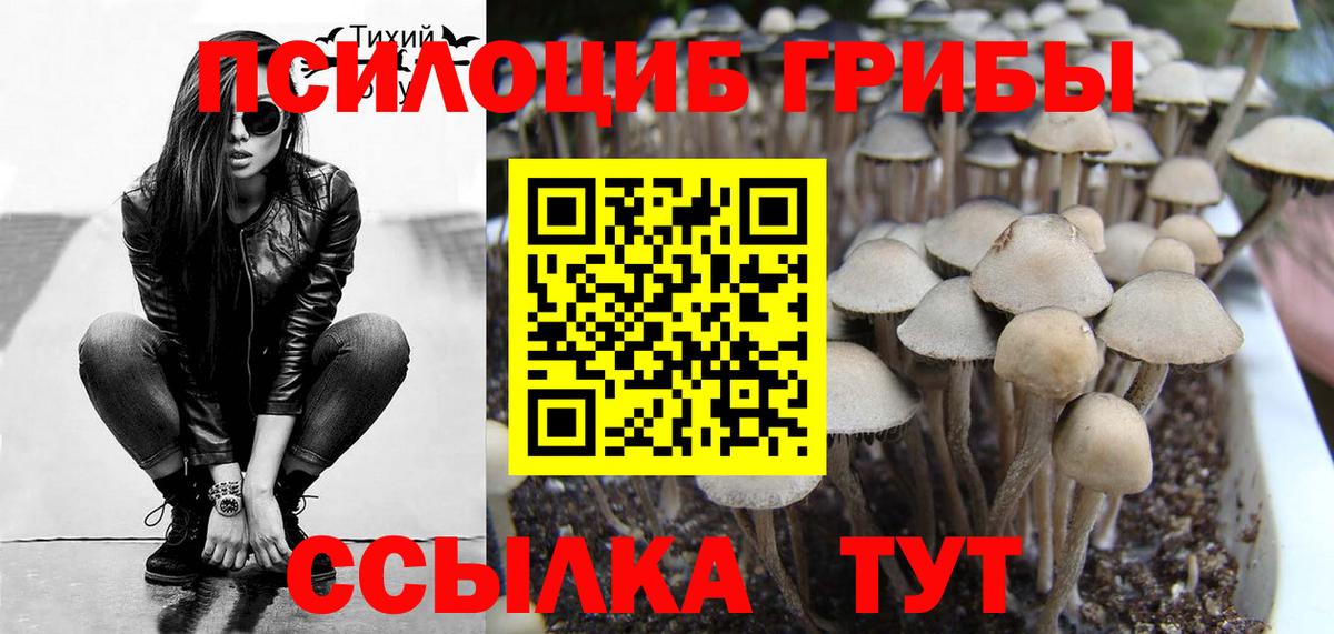 Ангарск  Галлюциногенные грибы MAGIC MUSHROOMS  закладки  Вход с VPN 